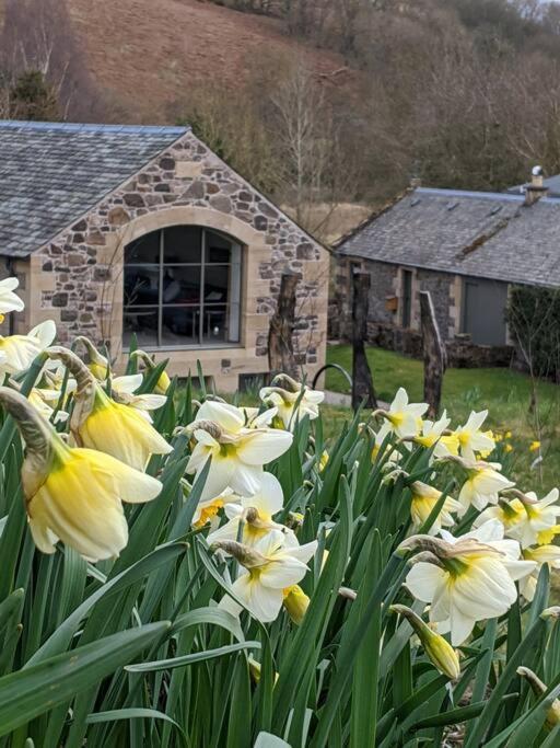 Woodmill Arches - Designer Barn Conversion For Two Appartement Lindores Buitenkant foto